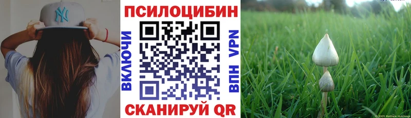 Псилоцибиновые грибы ЛСД  что такое   Сосенский 